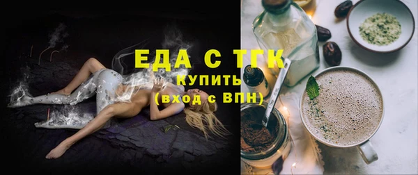 spice Богородицк