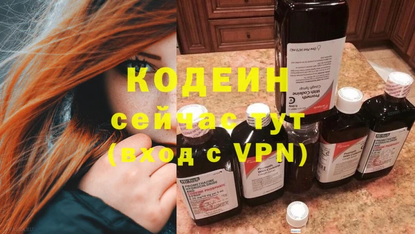 spice Богородицк