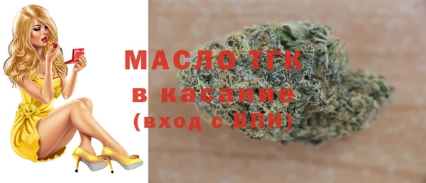spice Богородицк