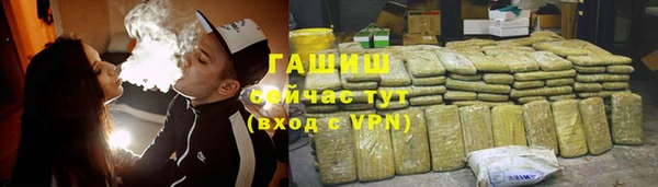 spice Богородицк