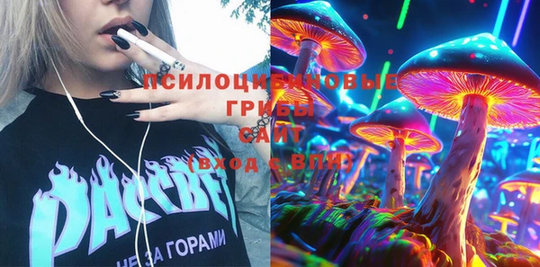 spice Богородицк