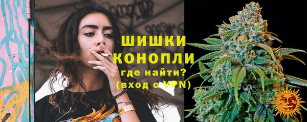 spice Богородицк