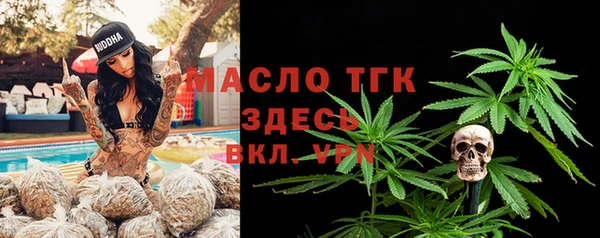 spice Богородицк