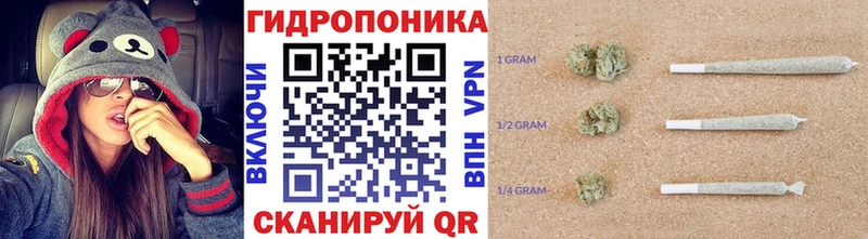 Шишки марихуана SATIVA & INDICA сколько стоит Белозерск
